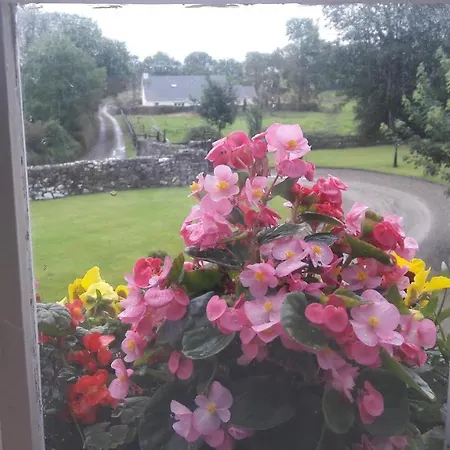 Bed & Breakfast Bealkelly Killaloe