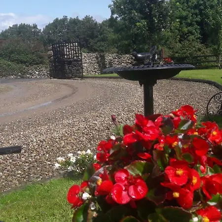 Bealkelly Bed & Breakfast Killaloe