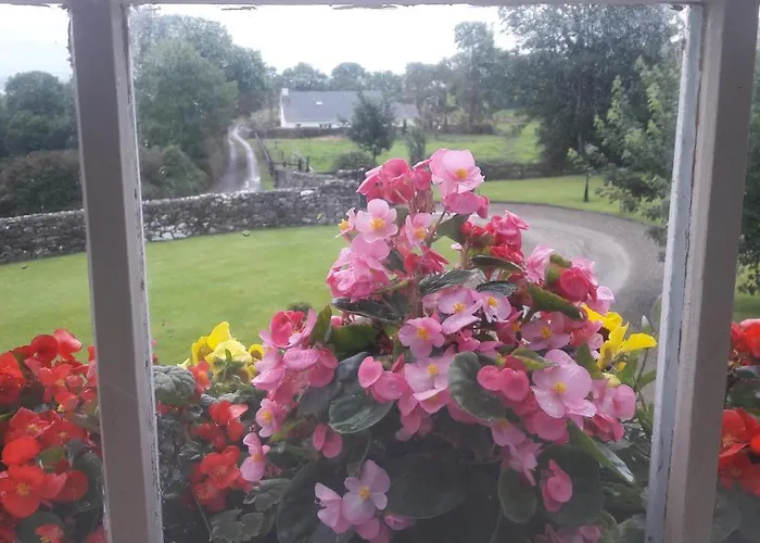 Frühstückspension Bealkelly Killaloe